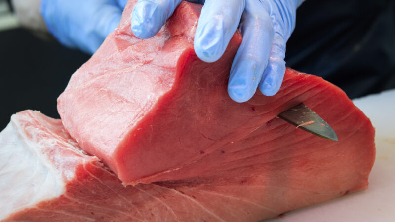 2025年末もやります!年末一般開放のお知らせ